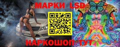 гидра Тверь